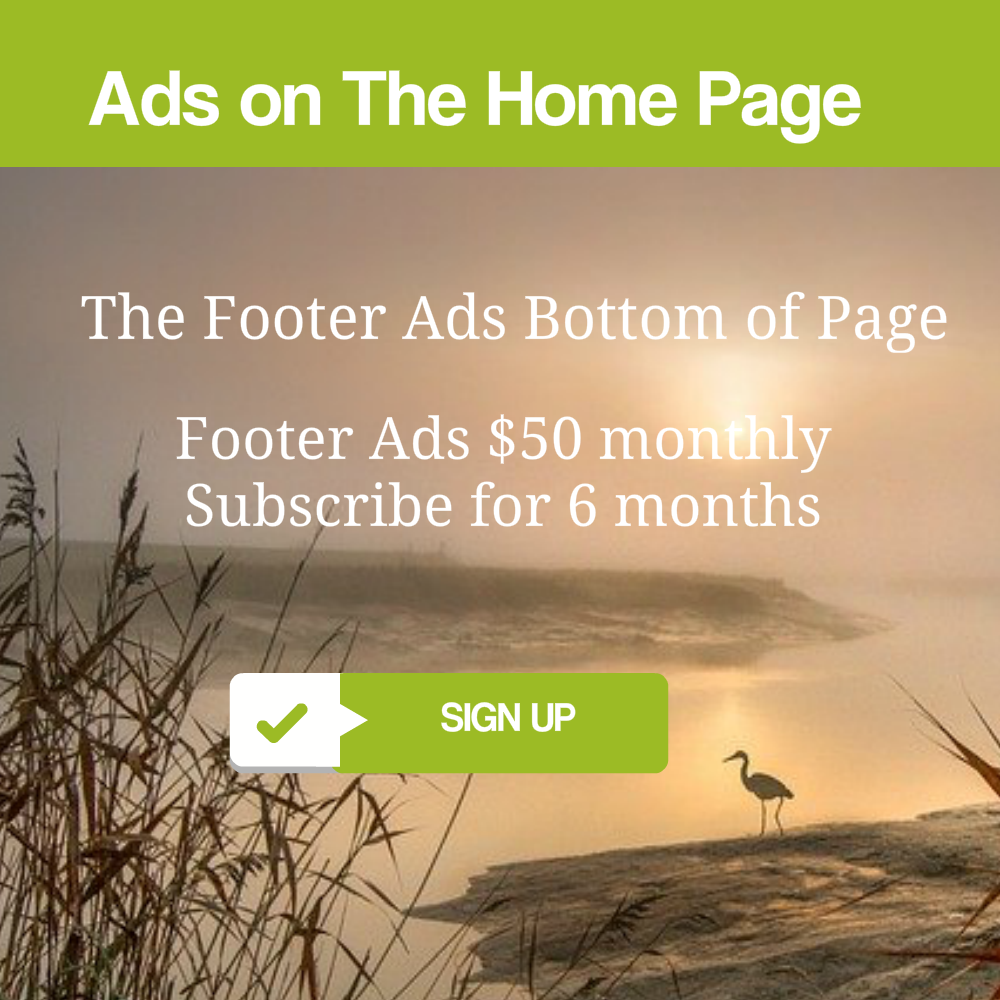 Ad space button 6 months 50 a month 9 9 2020 footer this one